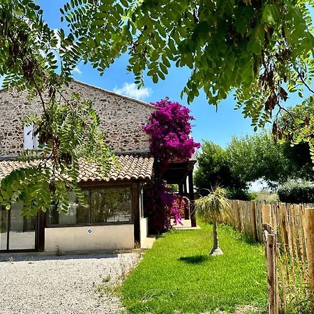 Grand Studio A 5Mns De La Plage Des Salins Hyères Buitenkant foto